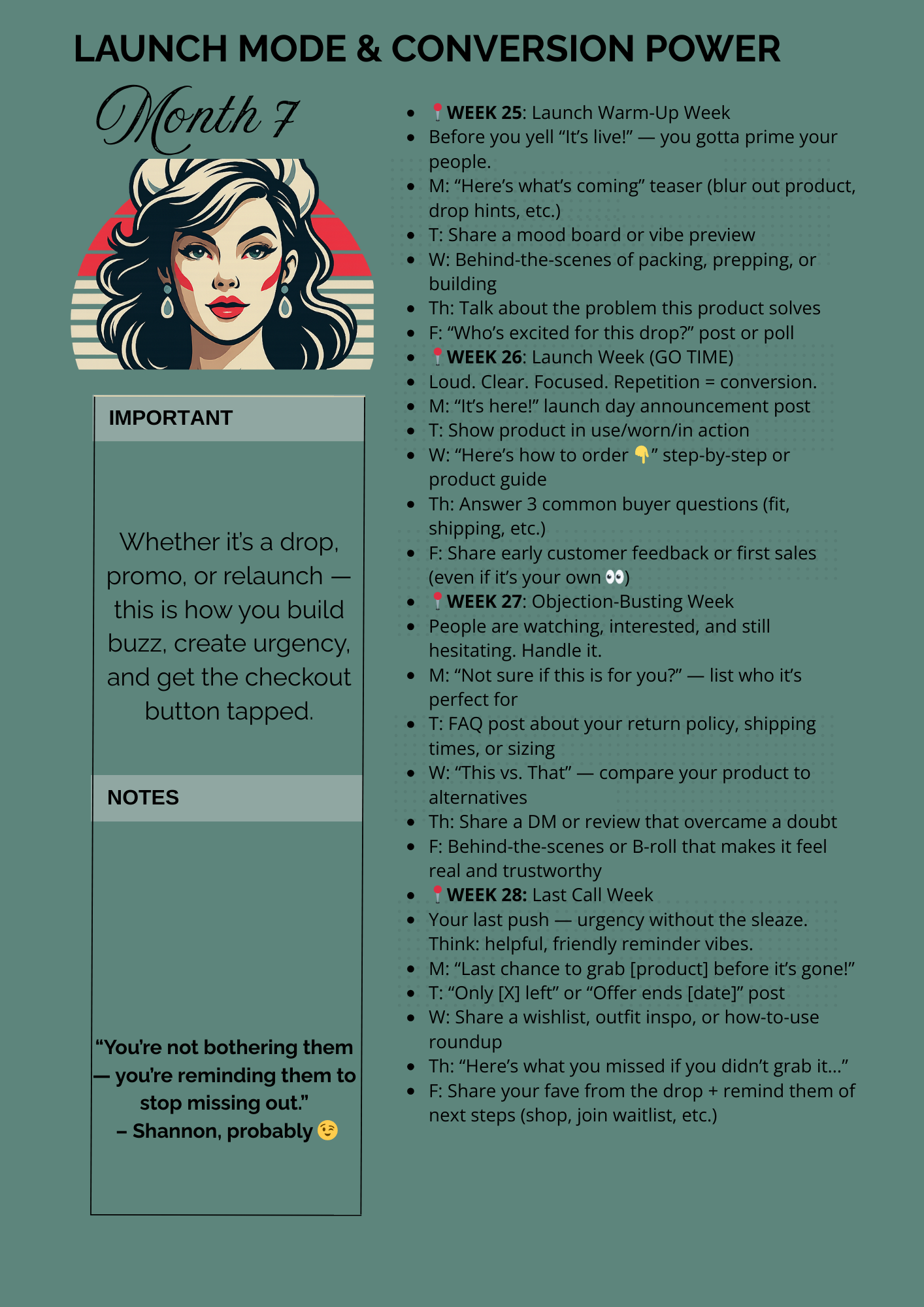 Strategy Launch Handbook